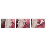 Calibra Veneer Try-In paszta Translucent (2x1,8g)