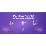 ZenFlex ONE file (3 db)