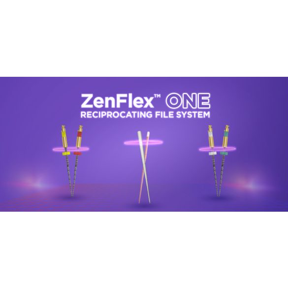 ZenFlex ONE file (3 db)