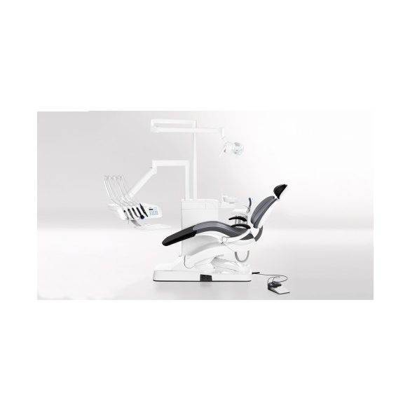 Intego Pro