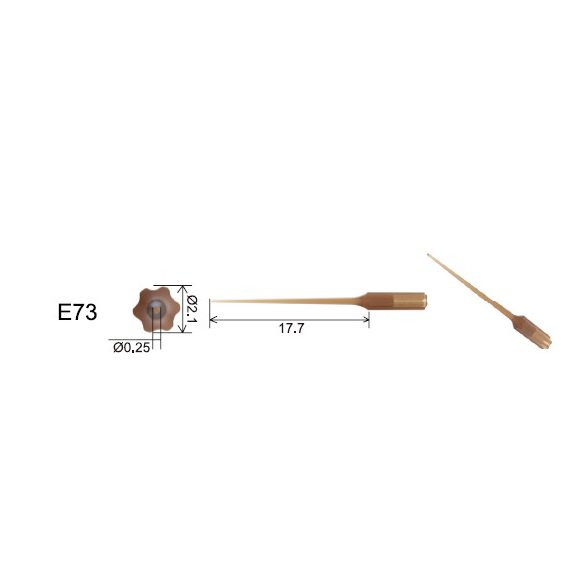 E73 Endo activator inzert 