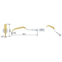 P95 Perio hegy (EMS, Woodpecker, DG)