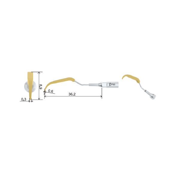 P95 Perio hegy (EMS, Woodpecker, DG)